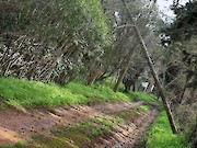 Câmara Municipal de Vila do Bispo faz balanço das intervenções após passagem das depressões Ingrid, Joseph e Kristin - 1