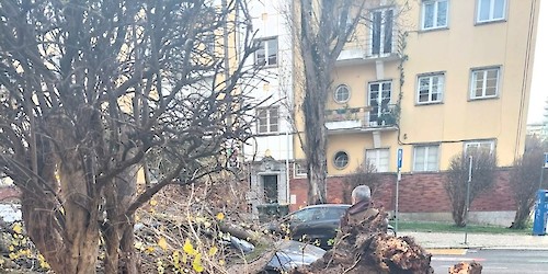 Tempestades extremas expõem fragilidades em Portugal: Natureza é parte da solução
