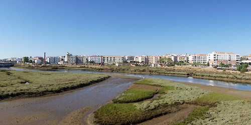 Museu de Lagos acolhe conversa sobre o Dia Mundial das Zonas Húmidas