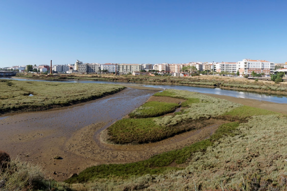 Museu de Lagos acolhe conversa sobre o Dia Mundial das Zonas Húmidas