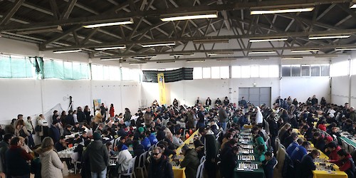 Associação Filatélica e Numismática Gil Eanes - Lagos obteve um honroso 8º lugar