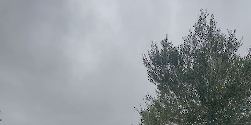 PSD Algarve: “ Oncologia sem ter que ir a Sevilha é vitória para a região”