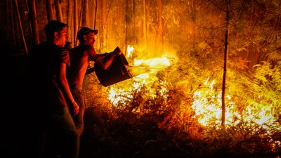 Português cria o primeiro kit de sobrevivência a incêndios