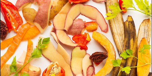 ALGAR E AMAL promovem reunião técnica sobre os desafios dos biorresíduos no Algarve