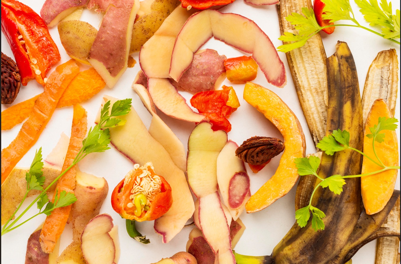 ALGAR E AMAL promovem reunião técnica sobre os desafios dos biorresíduos no Algarve