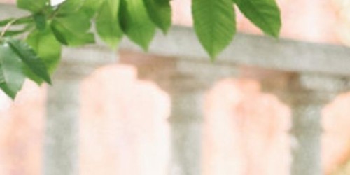 Nota à imprensa da Juventude Popular de Faro