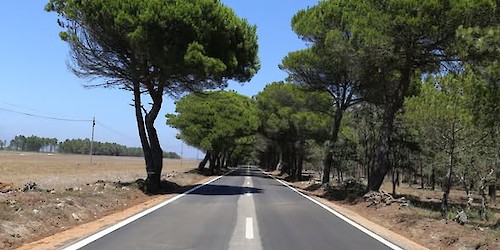 Trânsito condicionado entre Carrapateira e Bordeira