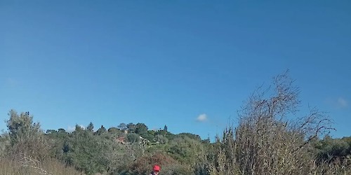 Intervenções da Junta de Freguesia de Barão de S. João – Segurança e Apoio à População