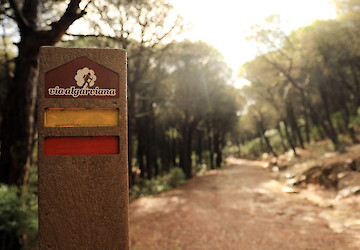 Lagos apoia “Via Algarviana – Um Território de Oportunidades”