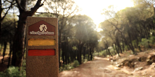 Lagos apoia “Via Algarviana – Um Território de Oportunidades”