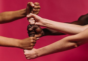 Câmara de Lagos tem novo Plano Municipal para a Igualdade e Não Discriminação