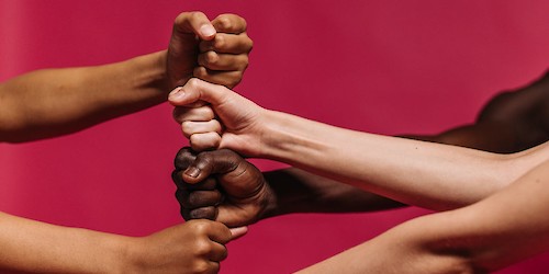 Câmara de Lagos tem novo Plano Municipal para a Igualdade e Não Discriminação