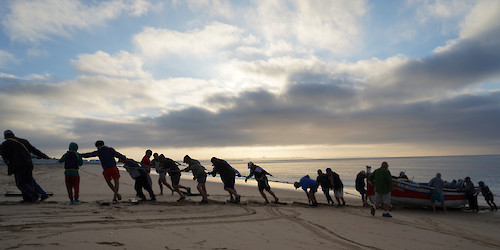 Salvar a Arte Xávega Tradicional da Meia Praia