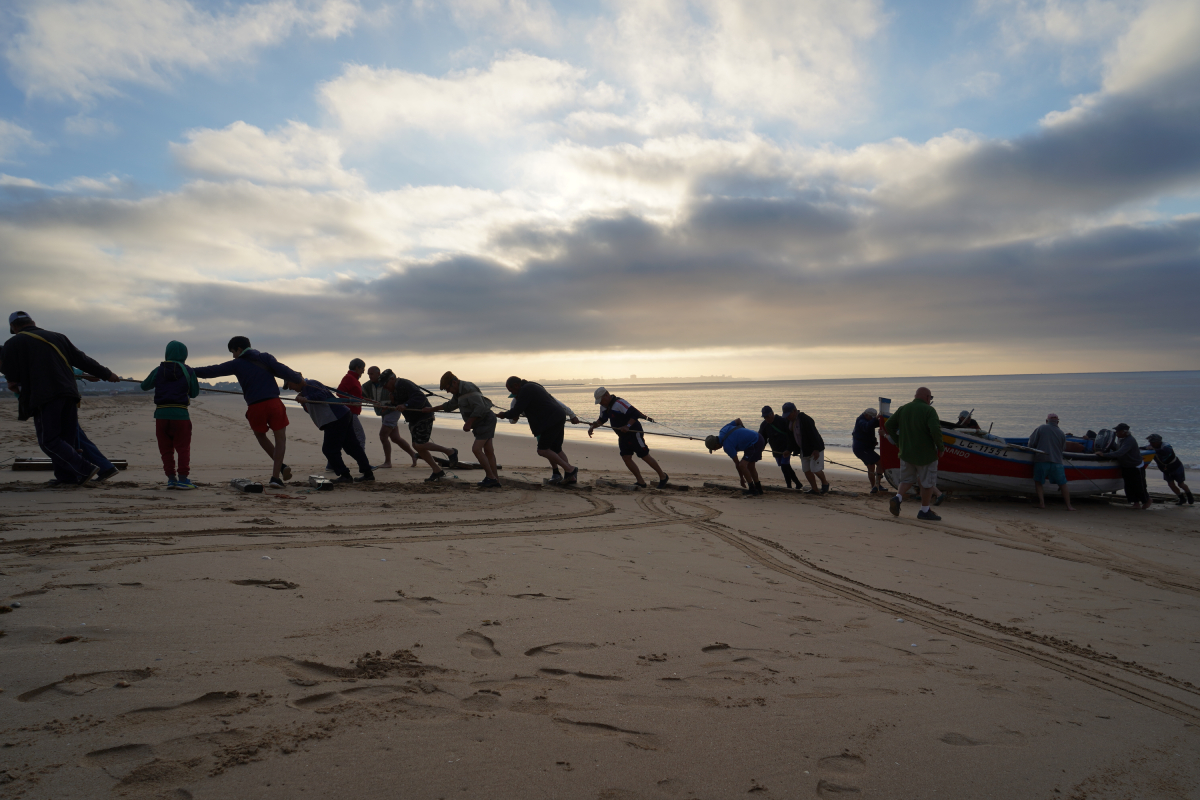 Salvar a Arte Xávega Tradicional da Meia Praia