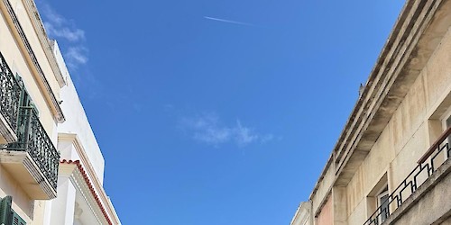 JSD Algarve reúne em Olhão militantes para dia de formação e convívio