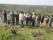 Mais de 800 árvores plantadas em acção de reflorestação na Área de Merendas do Castelejo, Vila do Bispo - 1