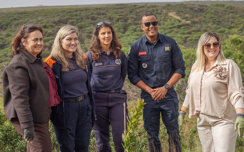 '.$destaque->title.'