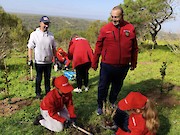 Mais de 800 árvores plantadas em acção de reflorestação na Área de Merendas do Castelejo, Vila do Bispo - 1