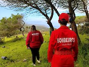Mais de 800 árvores plantadas em acção de reflorestação na Área de Merendas do Castelejo, Vila do Bispo - 1