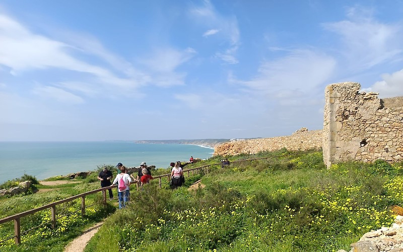 '.$destaque->title.'