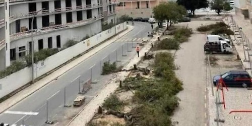 Lagos Mais Verde – urgência de estratégia e planeamento por parte da Câmara Municipal em articulação com outros parceiros defensores do ambiente