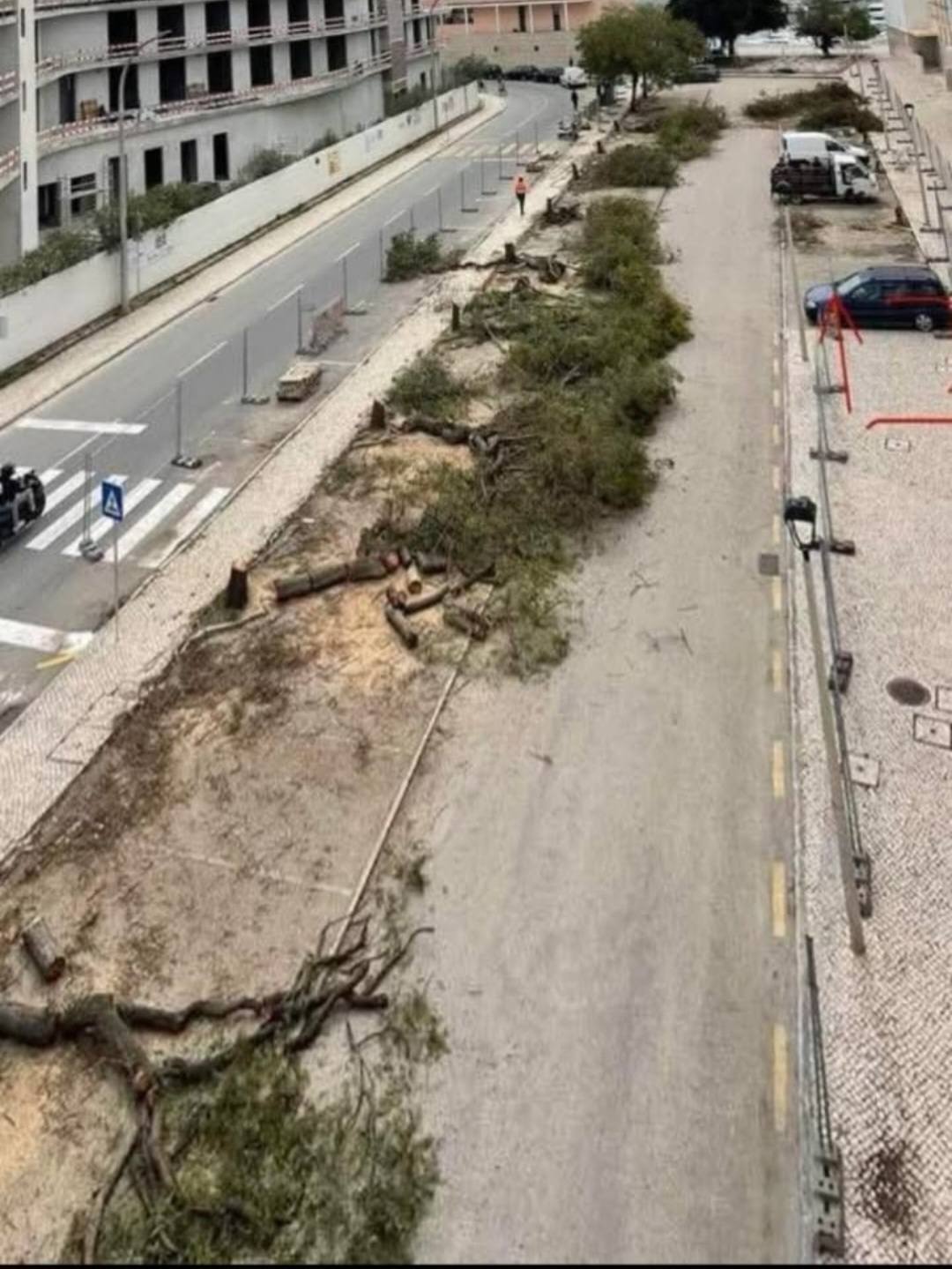 Lagos Mais Verde – urgência de estratégia e planeamento por parte da Câmara Municipal em articulação com outros parceiros defensores do ambiente