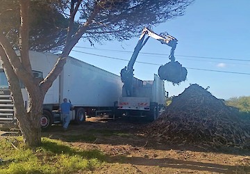 Aljezur: Trituração e remoção de resíduos verdes