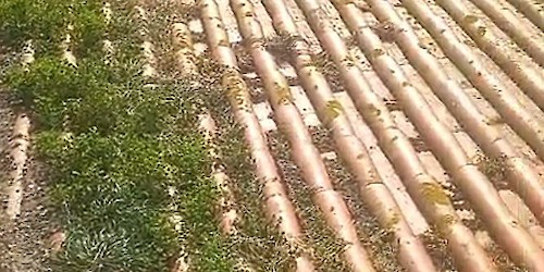 Limpeza de telhado do Arquivo Histórico de Aljezur