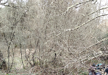 Campanha de monitorização de Primavera 2026