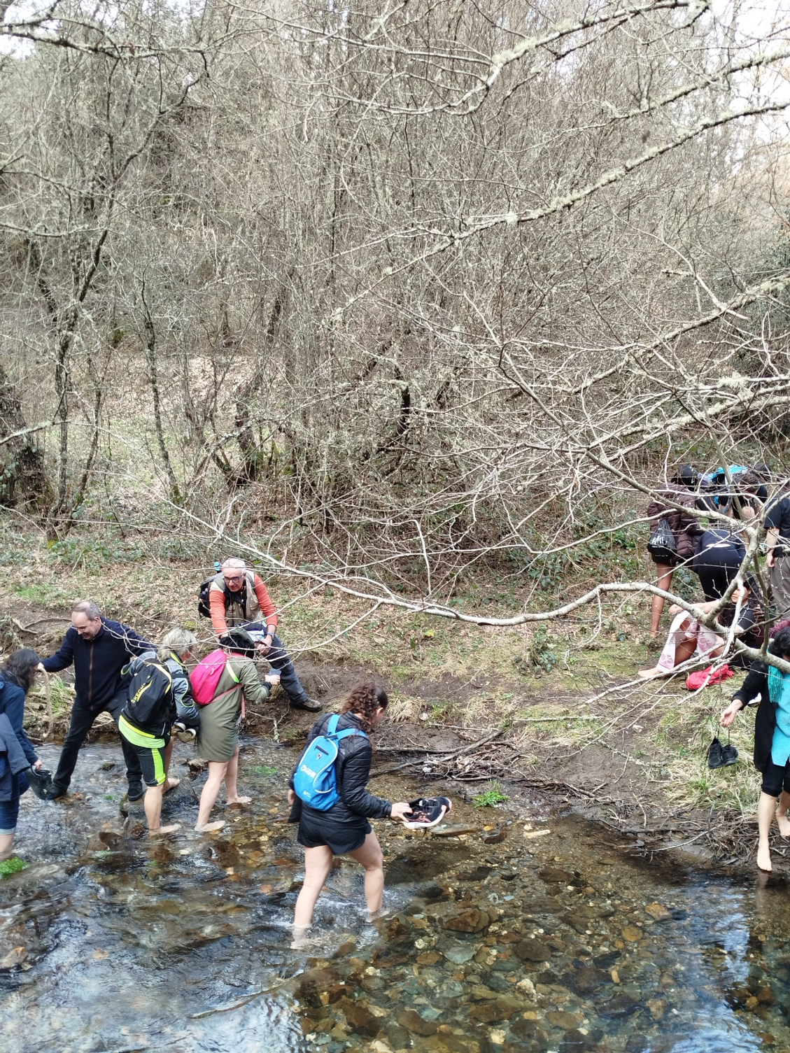 Campanha de monitorização de Primavera 2026
