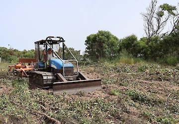 Vila do Bispo: Faixa de Gestão de combustível – Prevenção de Incêndios