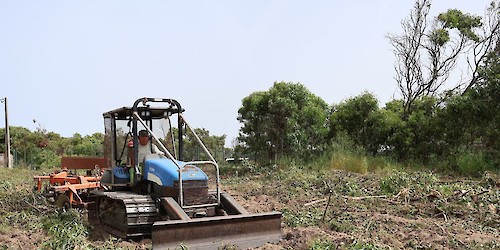 Vila do Bispo: Faixa de Gestão de combustível – Prevenção de Incêndios