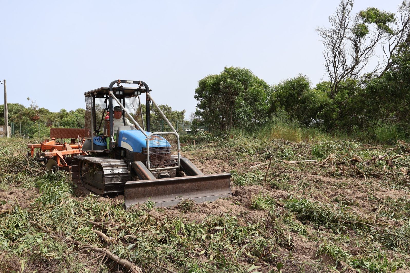 Vila do Bispo: Faixa de Gestão de combustível – Prevenção de Incêndios