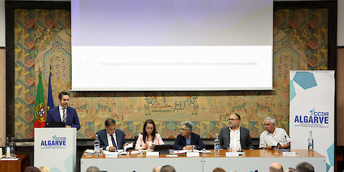 Conselho Regional da CCDR Algarve debateu a execução dos principais instrumentos de desenvolvimento regional e elegeu os representantes ao Conselho Económico e Social