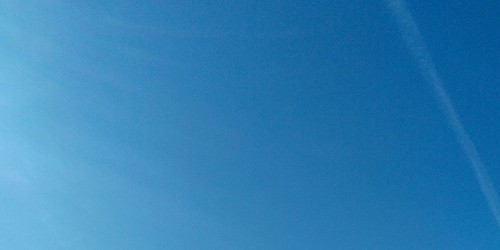 Budens assinalou o Dia Mundial dos Oceanos com ações de sensibilização, leitura e limpeza de praia
