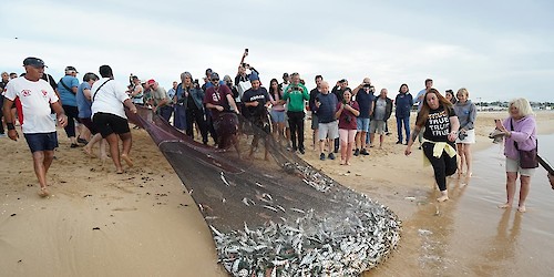 Arte Xávega da Meia Praia ganhou nova vida