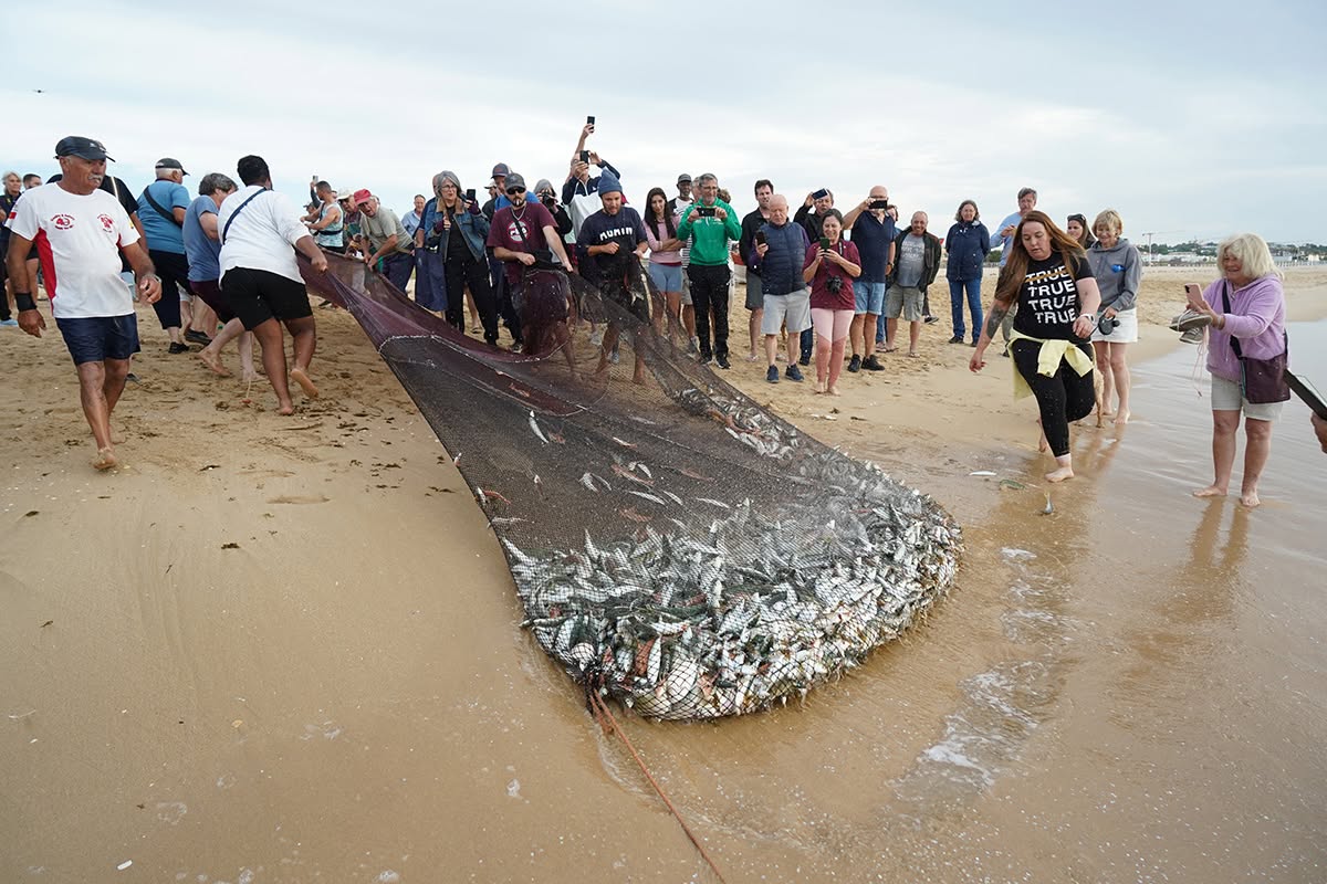 Arte Xávega da Meia Praia ganhou nova vida