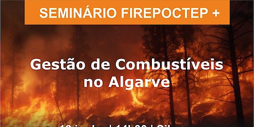 CCDR Algarve e AMAL promovem seminário sobre Gestão de Combustíveis no Algarve