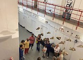 Exposição “Laboratório do Atlântico” patente no LAC – Laboratório de Actividades Criativas, Lagos