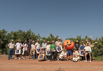 Citrinos do Algarve IGP querem conquistar consumidores europeus