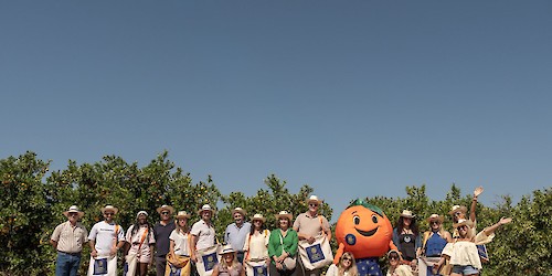 Citrinos do Algarve IGP querem conquistar consumidores europeus