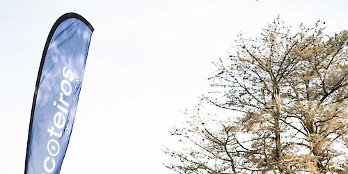 Dirigente de Faro integra nova Direção dos Escoteiros de Portugal