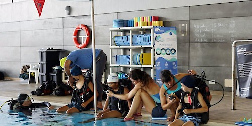 Lagos: pequenos mergulhadores, grandes embaixadores do oceano