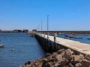 Secretário de Estado das Pescas e do Mar inaugurou ponte-cais do Porto de Pesca da Baleeira - Sagres - 1