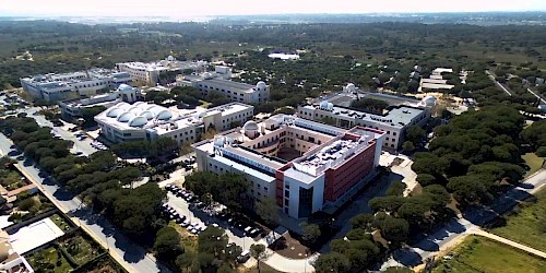 Saudação pelos 40 anos da Universidade do Algarve na Assembleia da República.