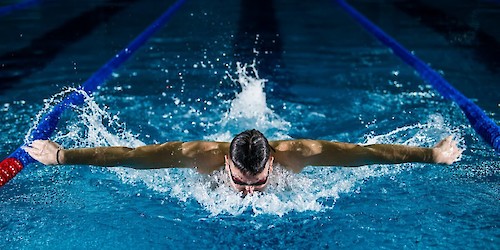 Município de Lagos aprova Programa de Apoio ao Desporto para a época 2026/2027