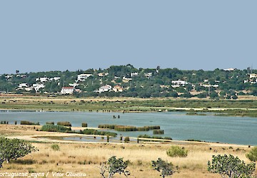 Associações apelam à ação: sem reserva natural, Lagoa dos  Salgados continuará desprotegida