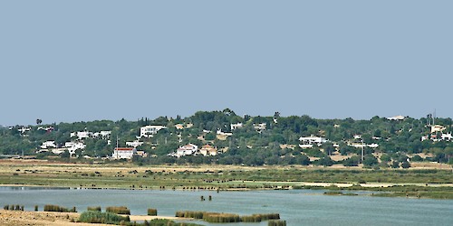 Associações apelam à ação: sem reserva natural, Lagoa dos  Salgados continuará desprotegida