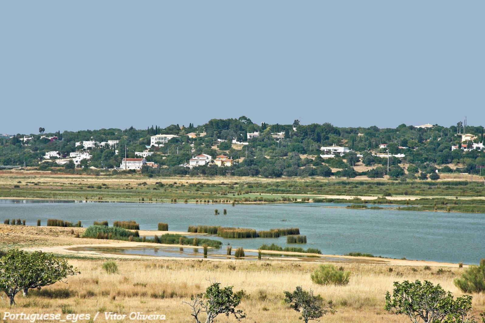 Associações apelam à ação: sem reserva natural, Lagoa dos  Salgados continuará desprotegida