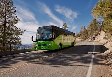 FlixBus passa a ter ligações entre o Algarve e o Terminal de Sete Rios, no centro de Lisboa